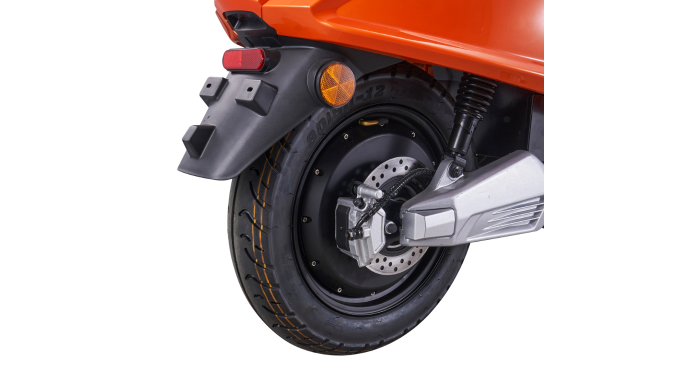 Rear Disc Brake