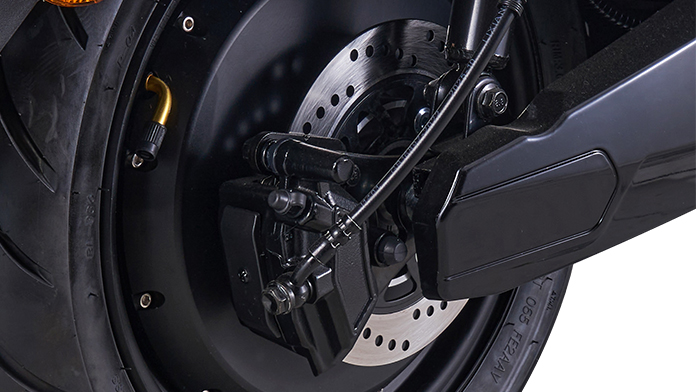 Rear Disc Brake