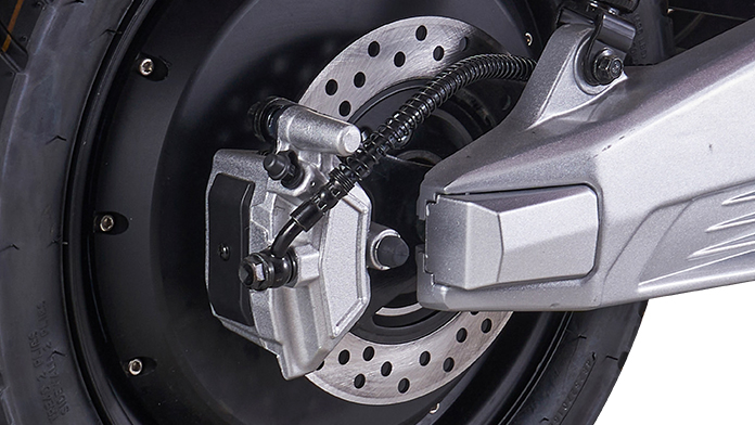 Rear Disc Brake Assembly