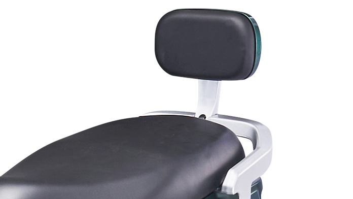 Passenger Backrest